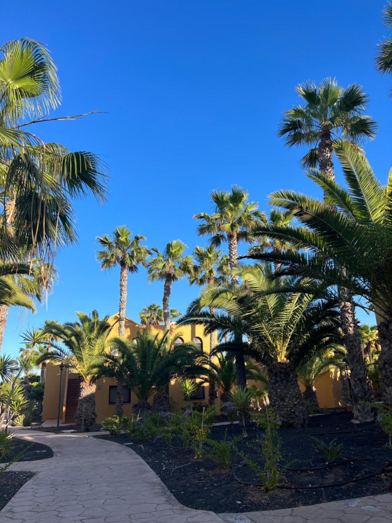 Casa De Leon Lägenhet Corralejo Exteriör bild