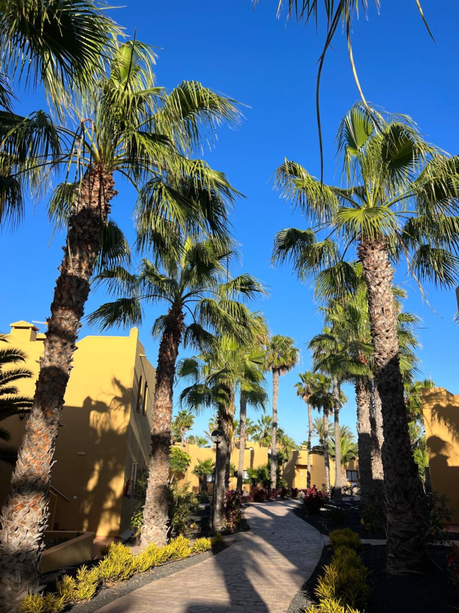 Casa De Leon Lägenhet Corralejo Exteriör bild