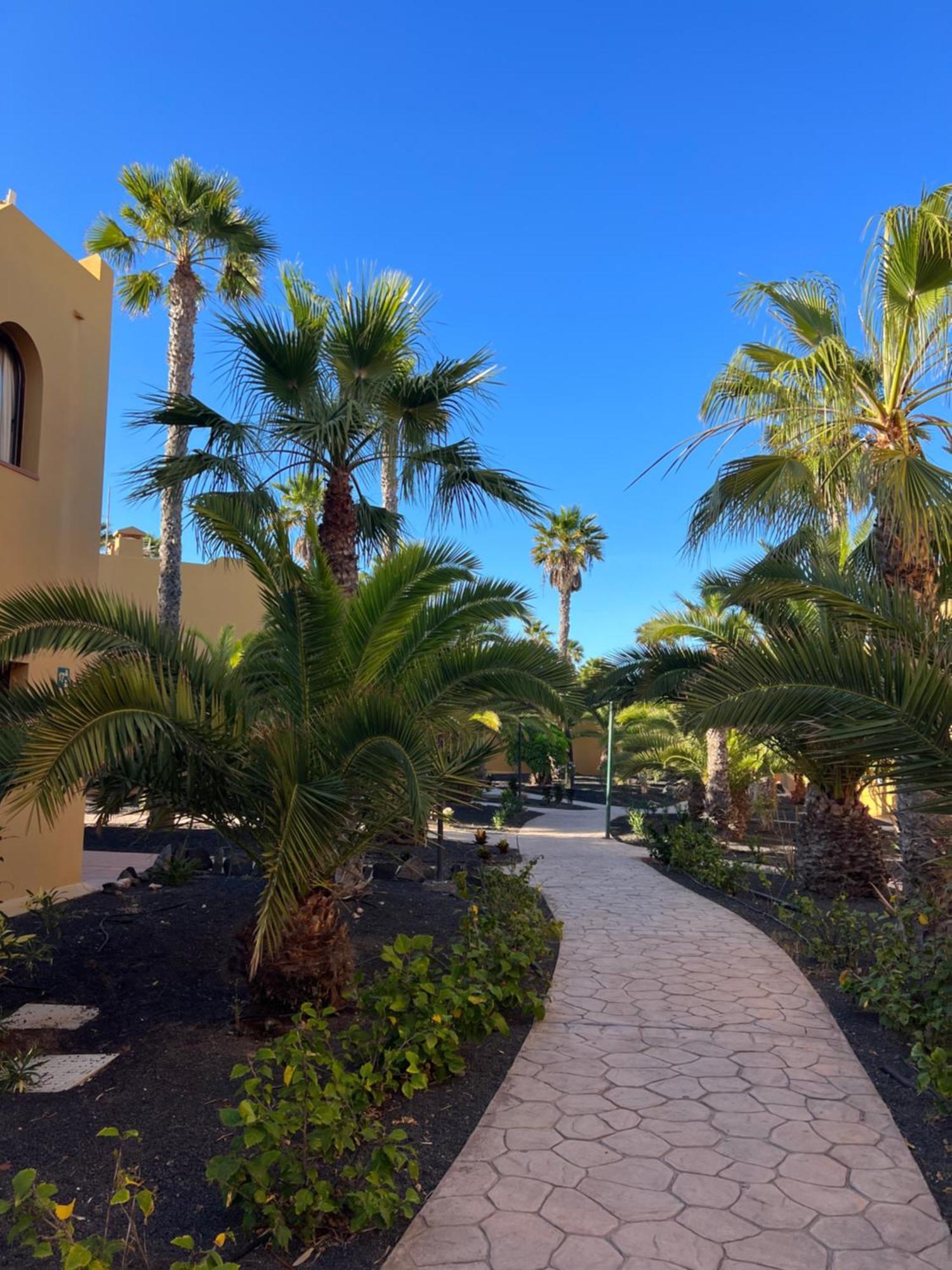 Casa De Leon Lägenhet Corralejo Exteriör bild